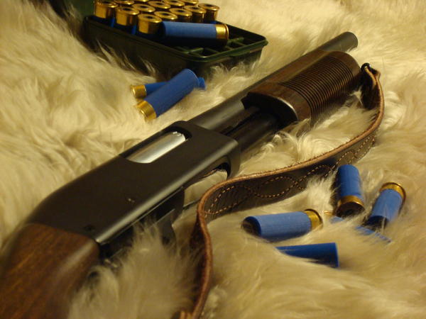 M870 Wood Stock